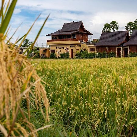 Barong Bali Villas Ubud Zewnętrze zdjęcie