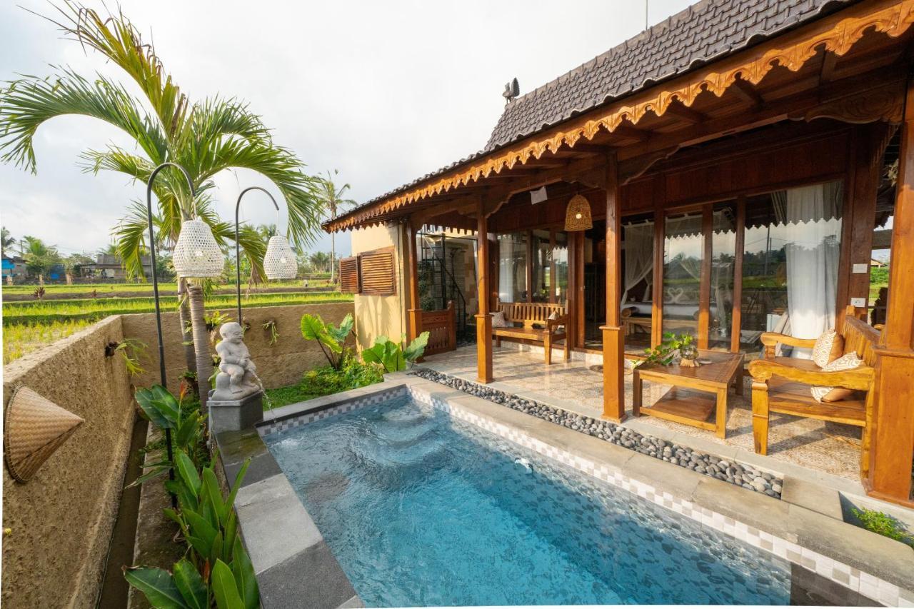Barong Bali Villas Ubud Zewnętrze zdjęcie