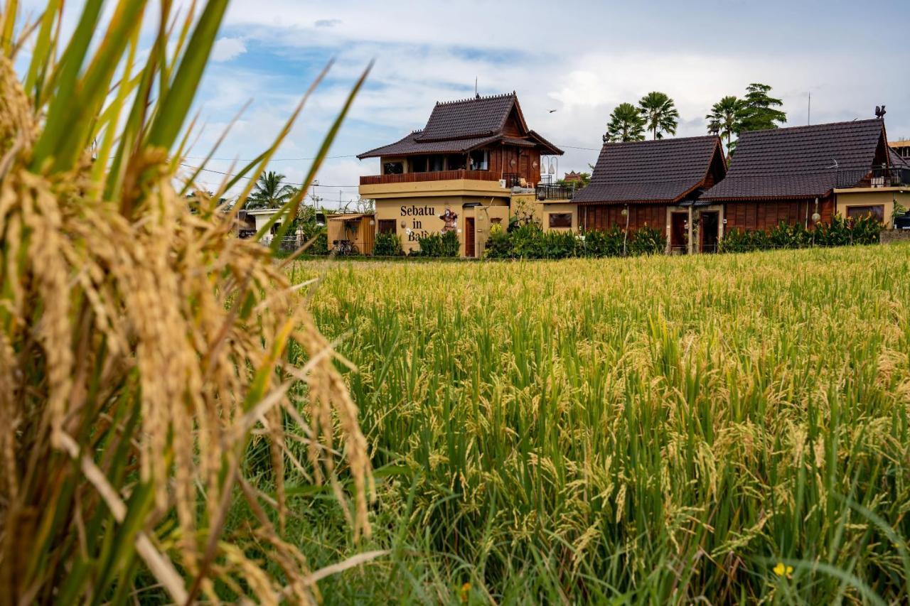 Barong Bali Villas Ubud Zewnętrze zdjęcie
