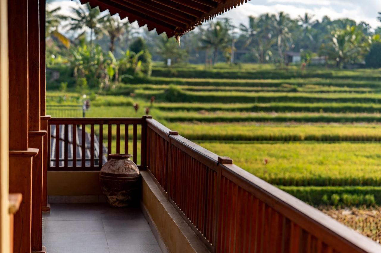 Barong Bali Villas Ubud Zewnętrze zdjęcie