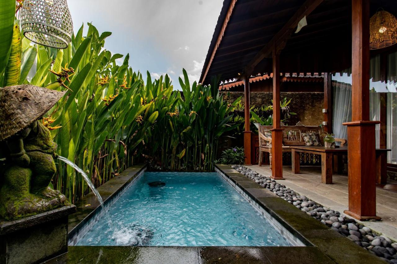 Barong Bali Villas Ubud Zewnętrze zdjęcie