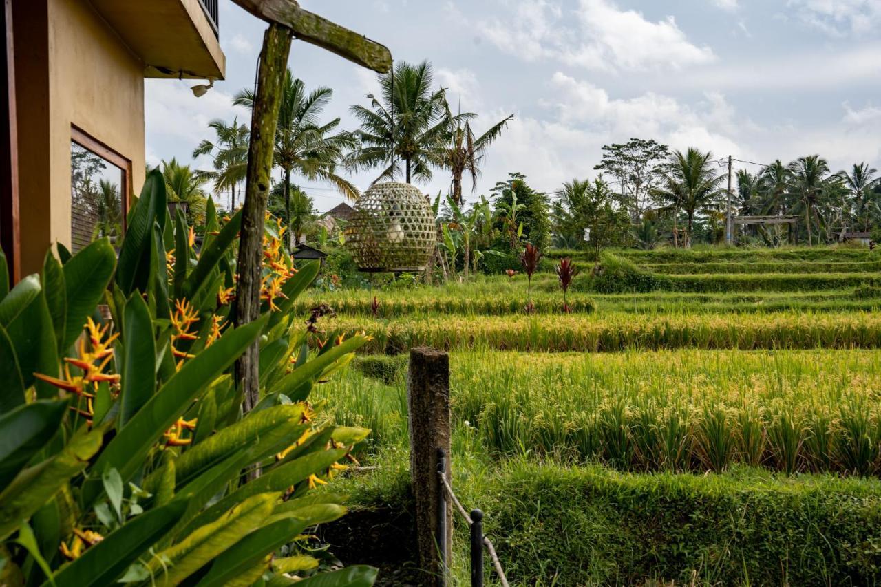 Barong Bali Villas Ubud Zewnętrze zdjęcie